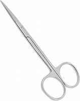 Image result for Lab Scissors