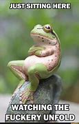 Image result for Frog Doing His Best Meme