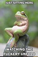 Image result for Going Crazy Meme with a Frog