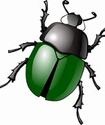 Image result for Cartoony Insects
