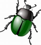 Image result for Bug in a Web Clip Art