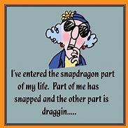 Image result for Funny My Day Is Dragging Image
