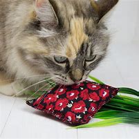 Image result for organic cat toy