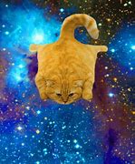 Image result for A Cat in Outer Space Clip Art