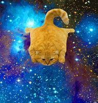 Image result for Space Cat Stock-Photo