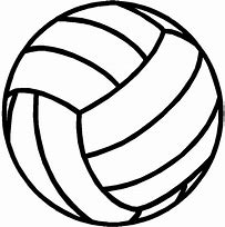 Image result for Black Volleyball Ball