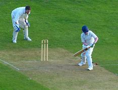 Image result for Cricket Sport