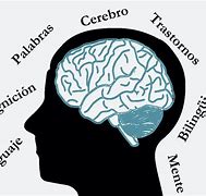 Image result for Cognición
