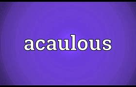 Image result for acauls