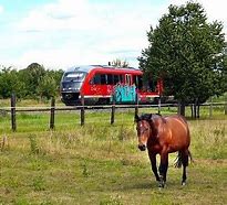 Image result for Racing Horse Train