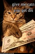 Image result for Cat Crying Meme Money