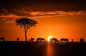 Image result for Kenya Sunset