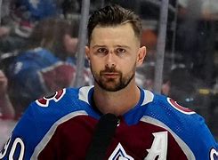 Image result for Tomas Tatar Avalanche