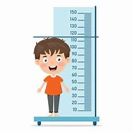 Image result for Height and Weight Clip Art