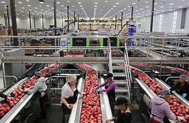 Image result for Apple Warehouse