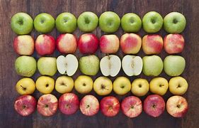 Image result for Different Apple Types