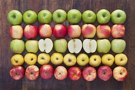Image result for 4 Types of Apple's