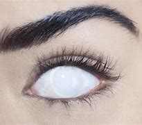 Image result for All White Contact Lens