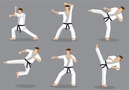 Image result for All Karate Kicks
