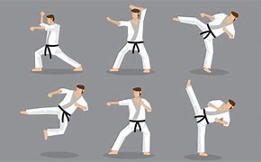 Image result for What Are Some Karate Moves