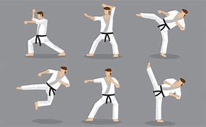 Image result for Karate Moves for Cordination