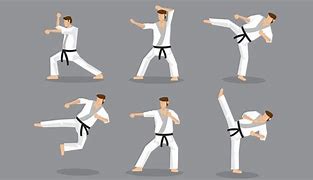 Image result for Karate Moves Kicks