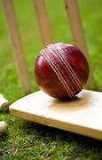 Image result for Cricket Stumps Bat and Ball