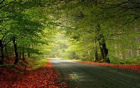 Image result for Photoshop Background Images Nature HD