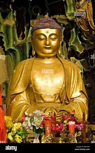 Image result for Wu Tai Shan Buddha