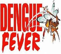 Image result for Dengue fever