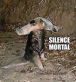 Image result for Silence Card Meme