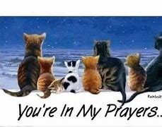 Image result for Cat Prayer Walk