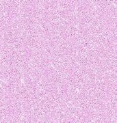 Image result for Baby Pink Glitter GIF