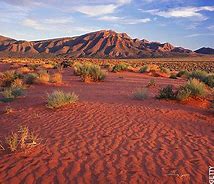 Image result for Great Australian Desert