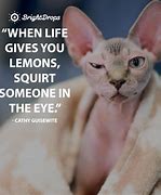 Image result for Quote for Today Funny