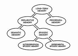 Image result for All Memory Types
