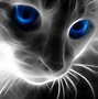 Image result for Cool Cat Wallpaper Ever