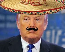 Image result for Trump Sombrero