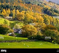 Image result for Snowdonia Autumn