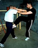 Image result for Martial Arts Groin Kick