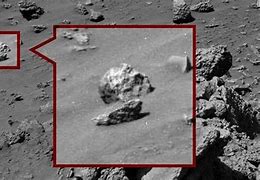 Image result for NASA Found Life On Mars