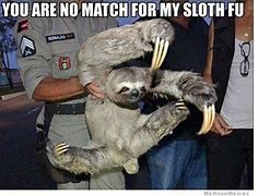 Image result for How About No Sloth Meme