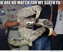 Image result for Funny Sloth Memes Clean