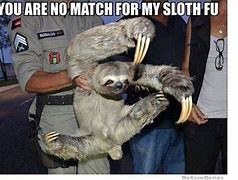 Image result for Lazy Sloth Meme
