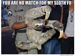 Image result for Sloth Face/Eyes Meme