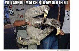Image result for Sloth Meme New Year's