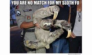 Image result for Sloth Cartoon Meme
