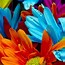 Image result for Bright Color Flower Wallpaper