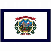 Image result for wv state flag colors