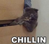 Image result for I'm Just Chillin